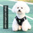 Breathable vest harness for small dogs and cats, ideal for everyday use