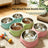 Pet Food and Water Bowl
