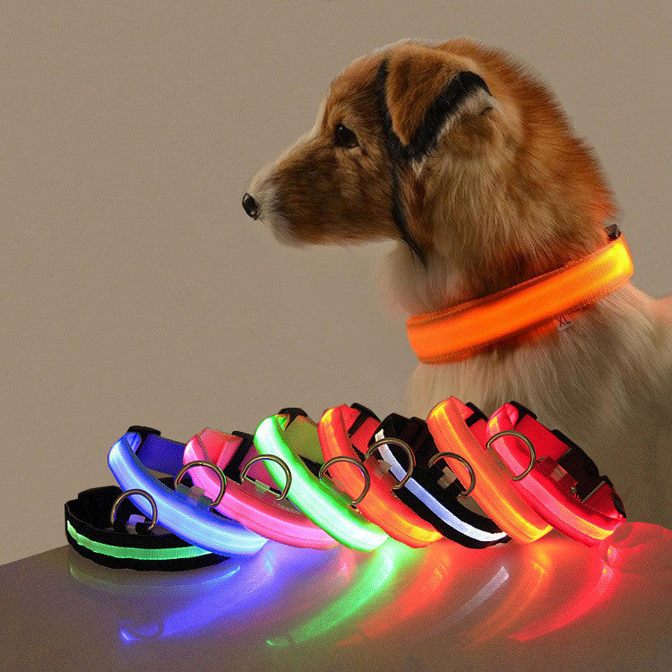 LED light up dog collar glowing green at night