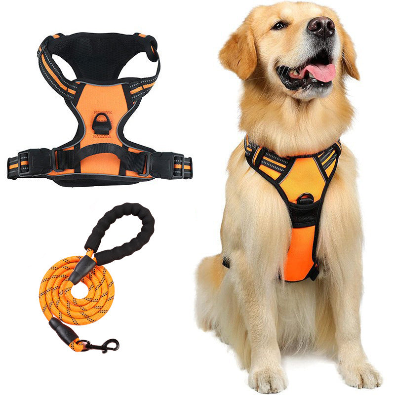 Burst proof dog harness shown in bright colours with round rope lead