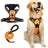 Burst proof dog harness shown in bright colours with round rope lead