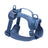 PVC dog harness lead and collar set in bright colours, main product photo
