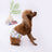 Washable dog diaper pants, available in 19 styles, image 67