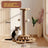5-in-1 wooden cat scratching board with turntable - photo 6
