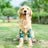 Breathable dog elbow sleeves in rainbow and owl prints