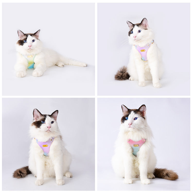 Colourful cat harness and lead set in purple and cloud blue