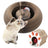 Accordion corrugated cardboard cat scratcher with paw print, photo 2 of 6
