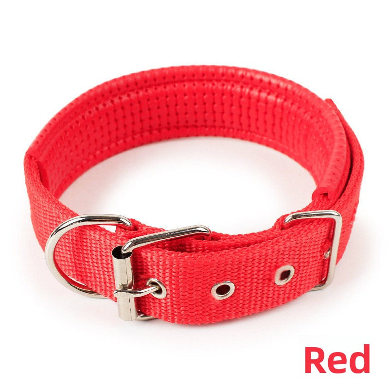 Reflective dog harness or matching collar, ideal for everyday use