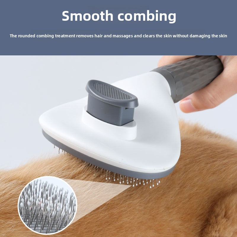 Pet Hair Removal Needle Comb and Fine-Tooth Flea Comb Set