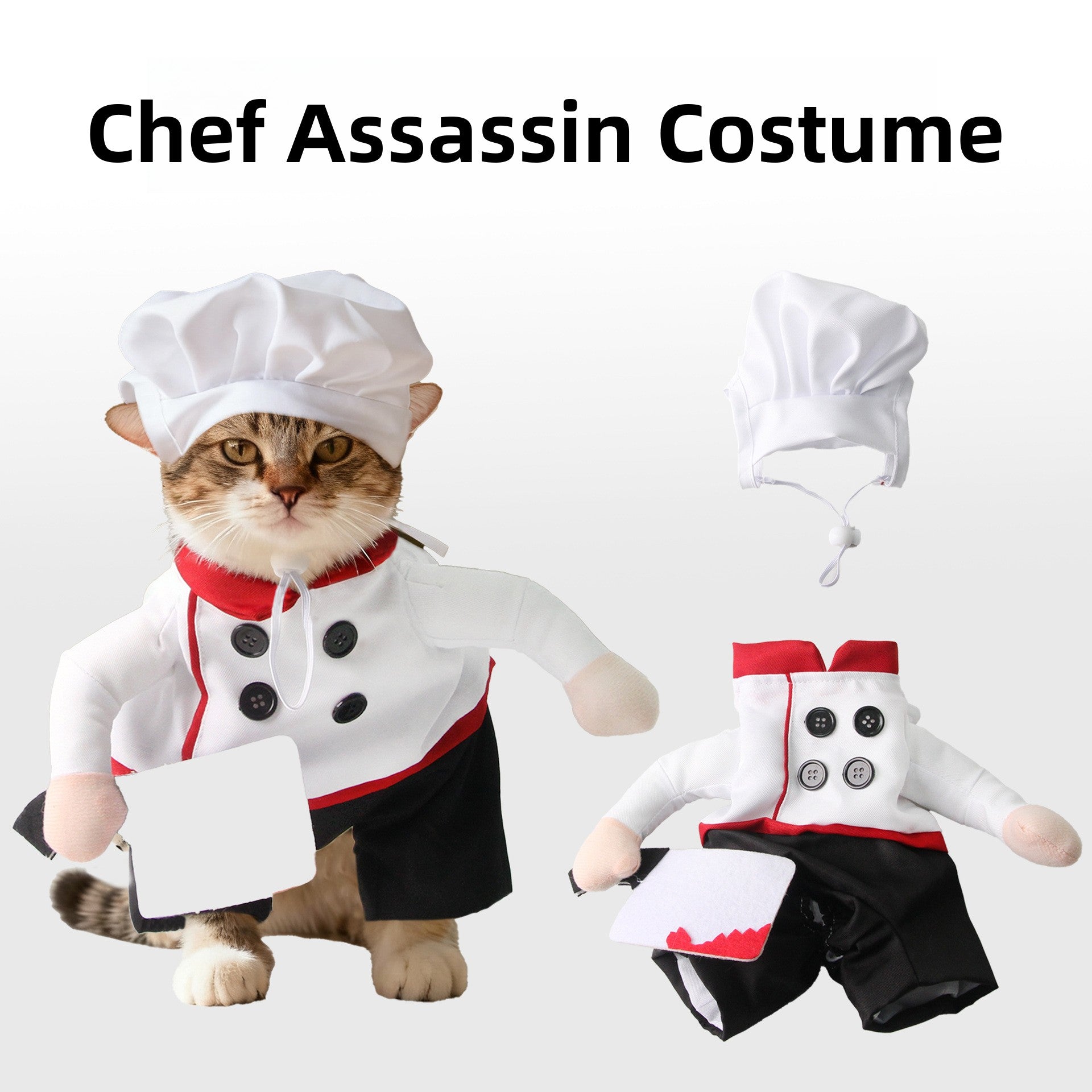 Funny pumpkin and spider Halloween costume for dogs and cats, image 87