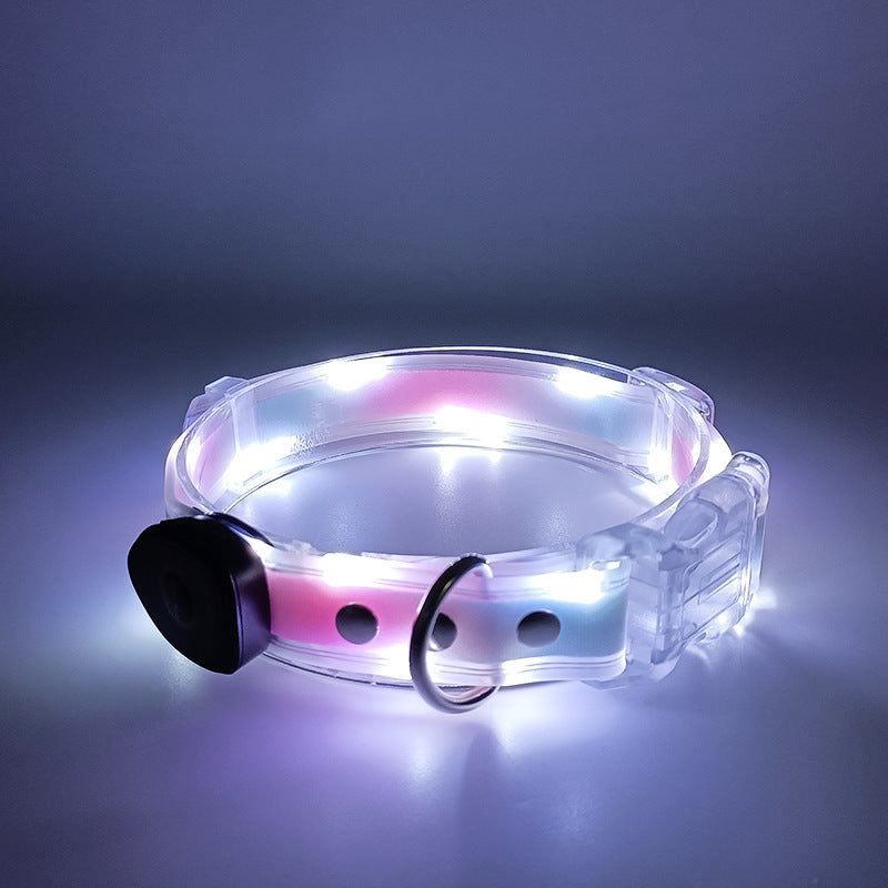USB rechargeable LED dog collar and lead, in use with a pet