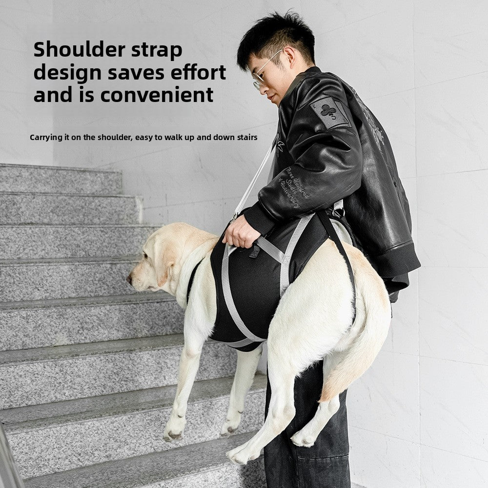 Reflective support dog harness with lift handle, close-up detail view