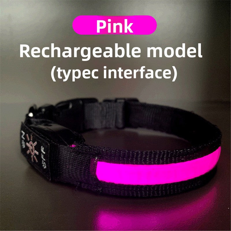 USB rechargeable LED dog collar, main product photo