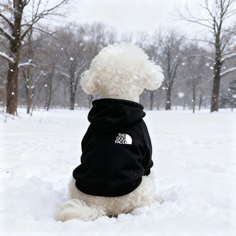 Hooded fleece sweatshirt for small dogs and cats in Red Chest Letter Print, front view