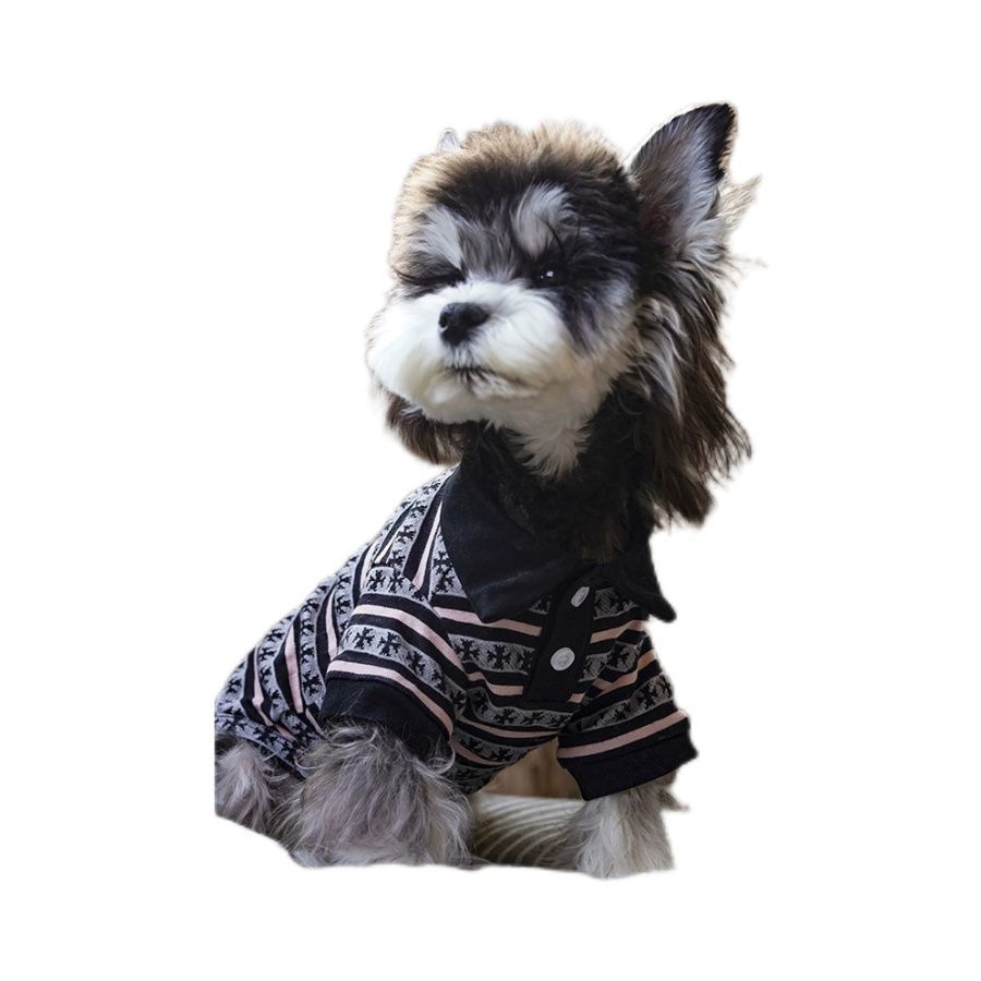 Plaid polo T-shirt for small dogs in Plaid, in a home setting