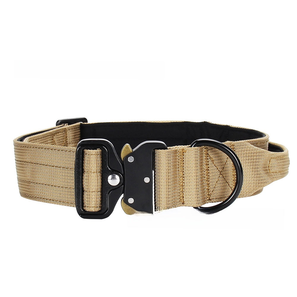 Tactical nylon dog collar with cobra buckle in Bright Blue, top view
