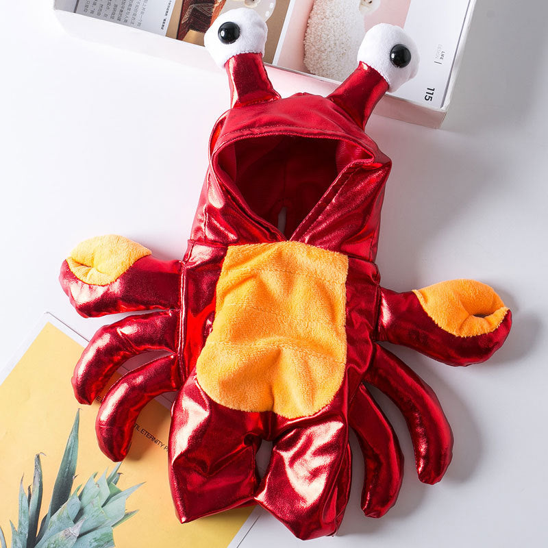 Selection of funny Halloween and Christmas costumes for pets