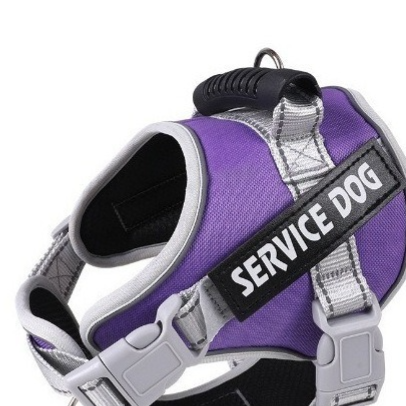 Reflective breathable mesh dog harness, available from Pet Royale UK