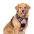 Reflective padded Oxford dog harness vest, product image 18