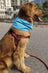 Cool touch cooling scarf for dogs and cats, available in 9 colours, image 19