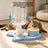 Automatic Cat Water Dispenser