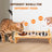 Bamboo elevated cat bowl rack with three bowls, detail photo 4