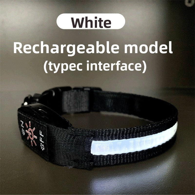 USB rechargeable LED dog collar, main product photo