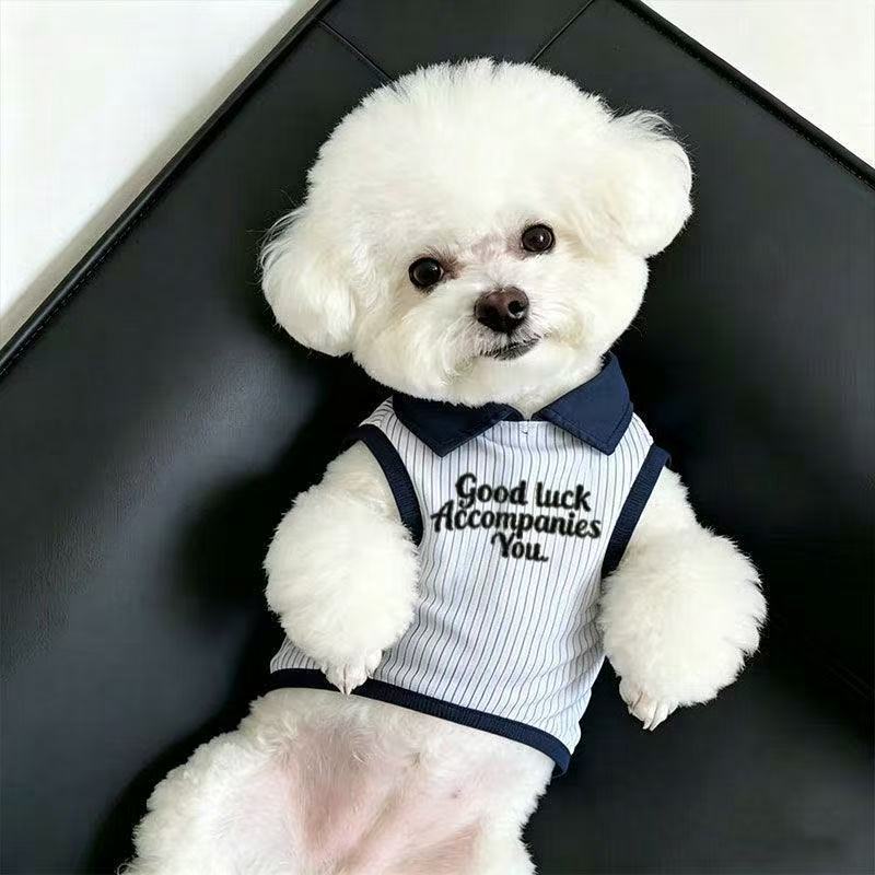 Blue striped polo collar dog vest, in Blue Stripe, image 4