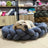 Hand-woven cotton rope pet bed in lemon yellow
