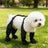 Black waterproof dog boots with anti-slip soles, product image 2
