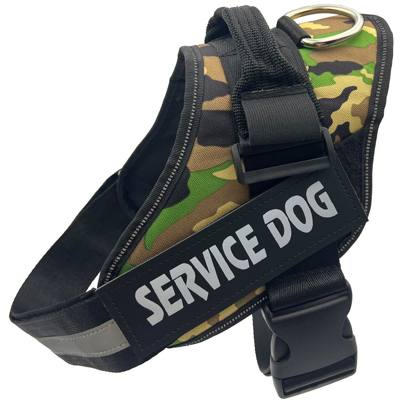 Reflective nylon dog harness with lead in blue, product image 51
