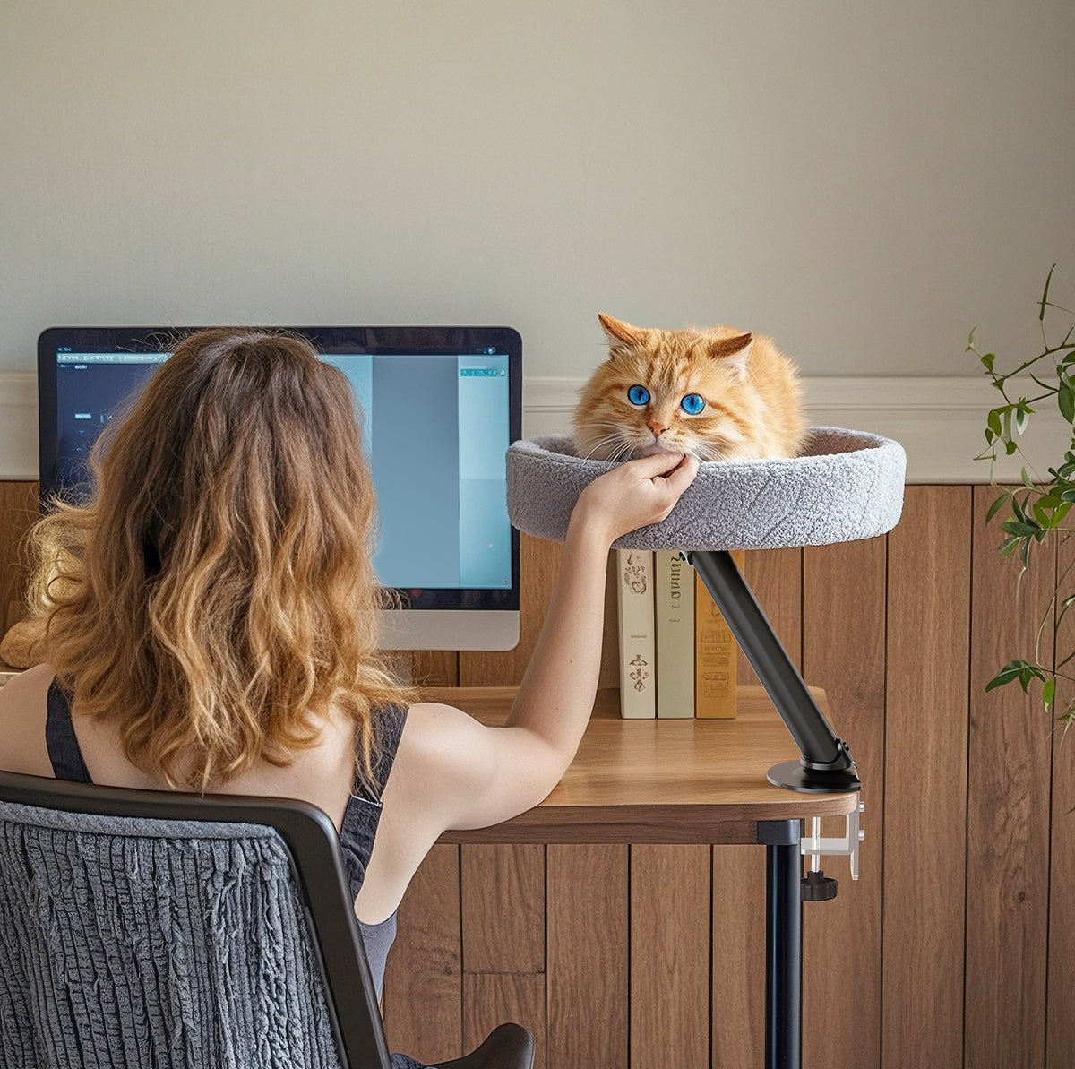 Light grey floating desktop cat bed on black wooden stand, photo 3
