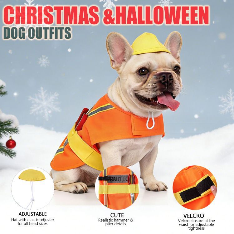 Small dog in a Christmas penguin costume with velcro fastening