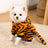 Thick padded tiger costume for small dogs, in Orange Tiger, image 1