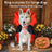 Red witch cloak Halloween costume for cats and small dogs