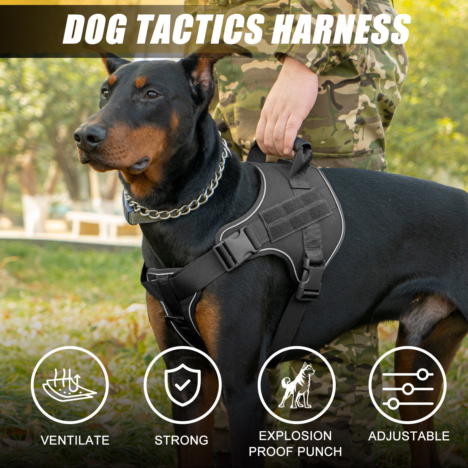 Tactical dog harness and lead set, ideal for everyday use