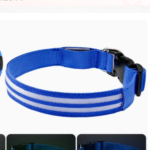 LED light-up dog collar, available from Pet Royale UK