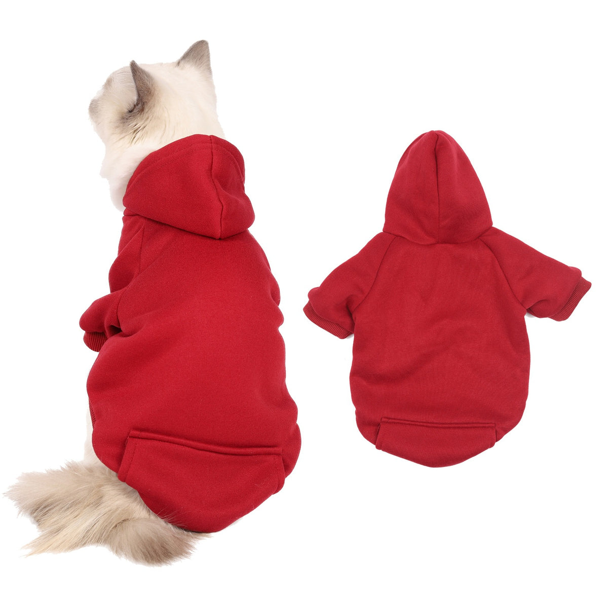 Small dog in a navy fleece lined hooded sweatshirt