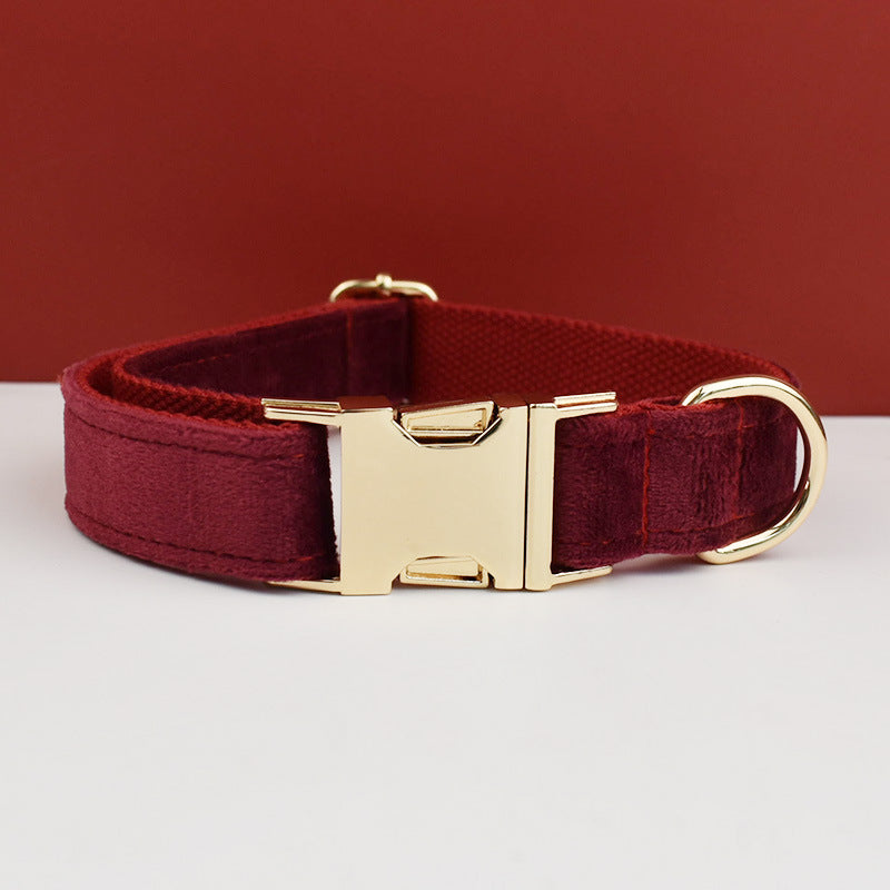 Velvet dog collars in burgundy, purple and white colour options