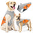 Dog cooling vest with reflective strips in light grey and orange, view 10