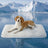 Grey gel pet mat for cooling in summer, photo 28