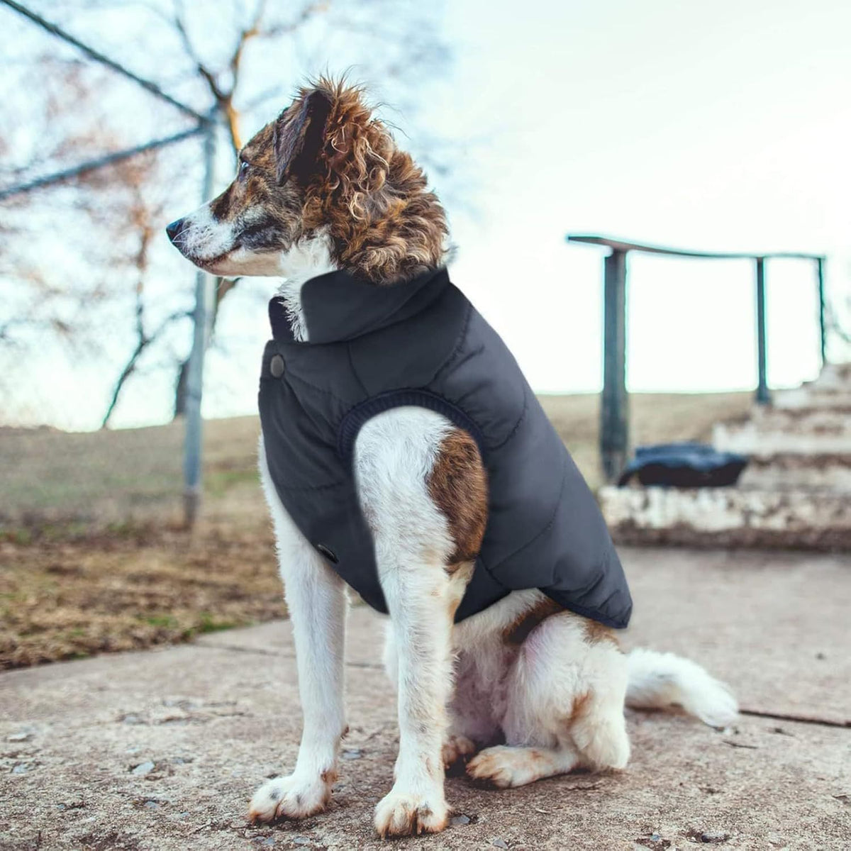 Windproof fleece lined dog winter jacket, available in 3 colours, image 2