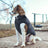 Windproof fleece lined dog winter jacket, available in 3 colours, image 2