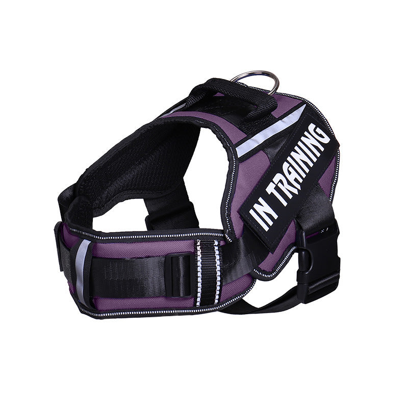 Reflective air mesh dog harness, ideal for everyday use