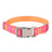 Printed nylon dog collar with colourful pattern, product image 15