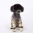 Four leg dog trousers with booties, available in 7 styles, image 2