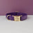 Velvet dog collars in burgundy, purple and white colour options