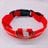 USB rechargeable LED collar for dogs and cats in Yellow, showing size and shape