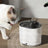 Cordless rechargeable pet water fountain in white with sensor