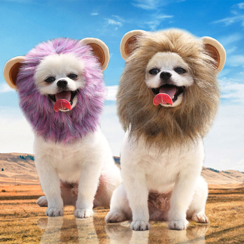 Crochet lion mane hat for dogs and cats, available in 4 styles, image 4